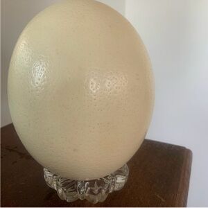 Ostrich EGG STAND